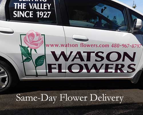 Same-Day Flower Delivery, Watsons Flowers