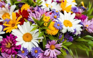 Watson's Flowers Offers Stunning Labor Day Flowers and Plants LOCAL SAME DAY & EXPRESS DELIVERY