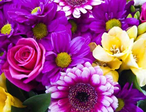 Watson’s Flowers: Reliable Same Day Flower Delivery to Gilbert, Arizona