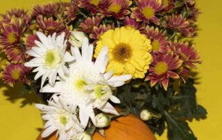 Watson's Flowers is a renowned floral shop offering professional Scottsdale Arizona Flower Delivery