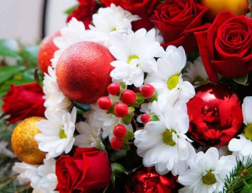 Enhance Your Mesa Arizona Holiday Celebrations with Watson’s Flowers