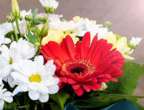 Sympathy Flowers Express Heartfelt Condolences During Difficult Times