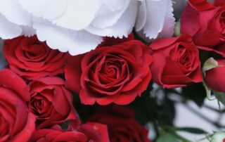 Watson's Flowers offers Office Delivery for Valentine's Day